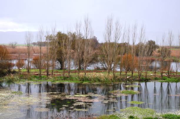 istock Nature in Lebanon 1308371231
