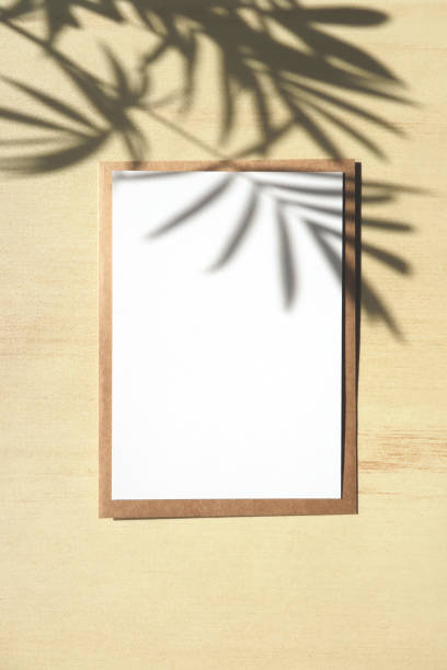 istock Vertical photo of a card and a parlor palm shadow. 1308378942