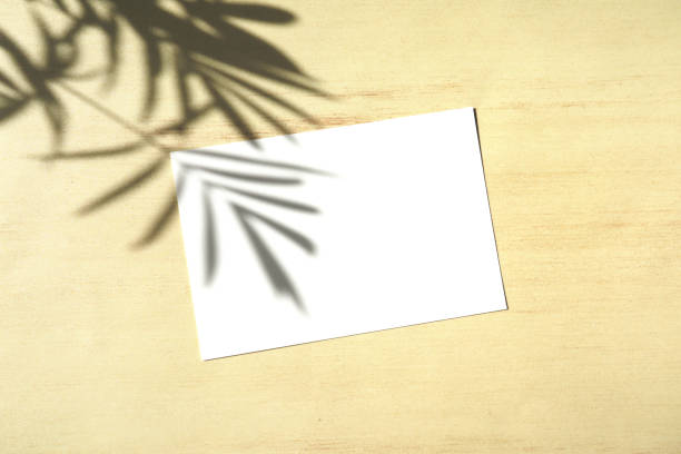 istock A card and shadow of a parlor palm. 1308378955