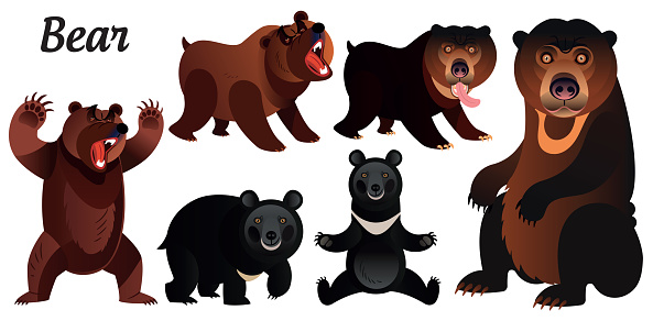 Vector Bears