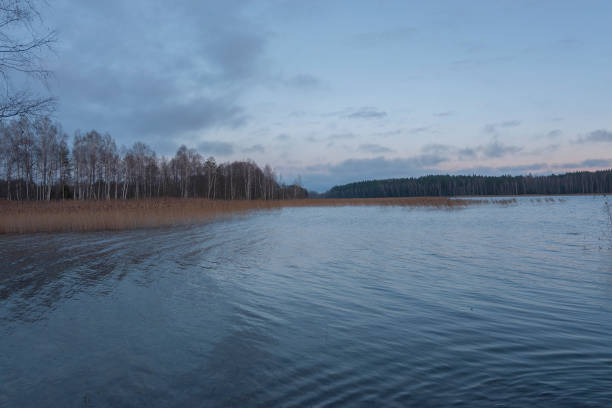 Lake in the north of the Republic of Belarus Braslav lakes. Lake in the north of the Republic of Belarus braslav lakes stock pictures, royalty-free photos & images