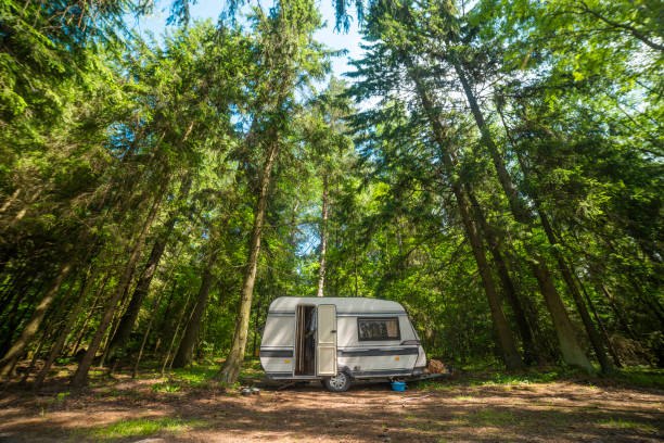 istock camper in the forest by the lake 1308381176