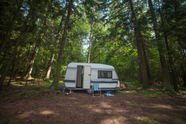 istock camper in the forest by the lake 1308381212