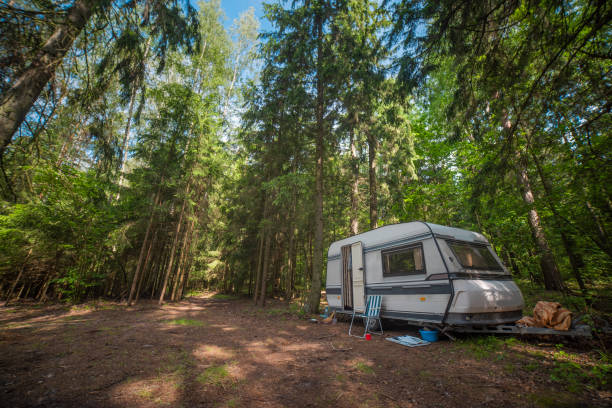 istock camper in the forest by the lake 1308381224