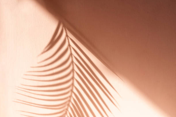 istock Palm leaf shadow on beige background. Minimalism. 1308381519