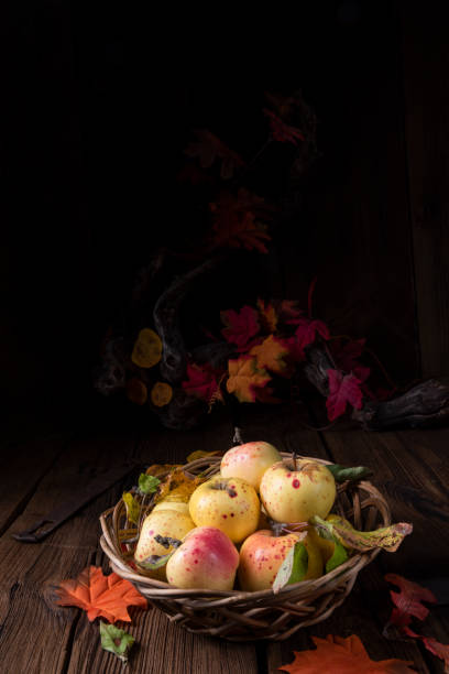 istock autumn is the time to harvest apples 1308382589