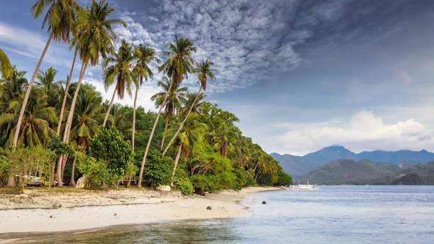 istock El Nido Palawan Natural Dolarog Beach Panorama Philippines 1308385680