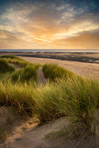 istock Summer evening landscape view over grassy sand dunes on beach 1308386446