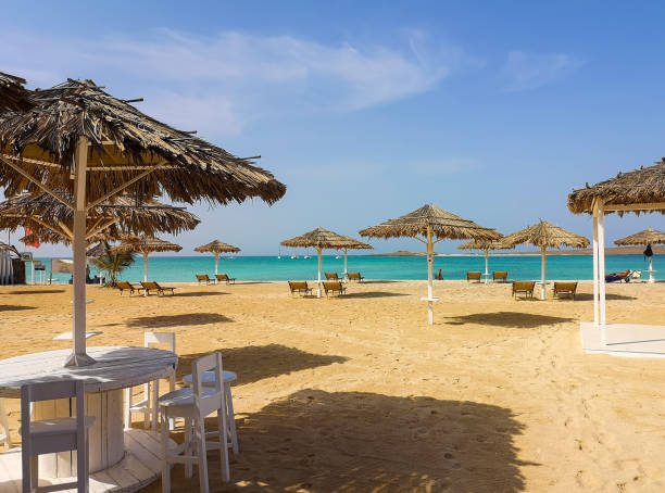 istock Beach bar in Sal Rei, Cape Verde 1308387477
