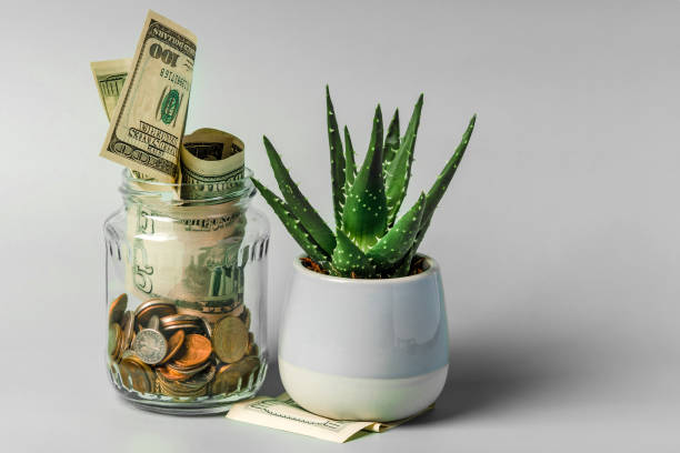 istock A glass jar with different coins on a pastel background with space for text. The concept of accumulating savings 1308388188
