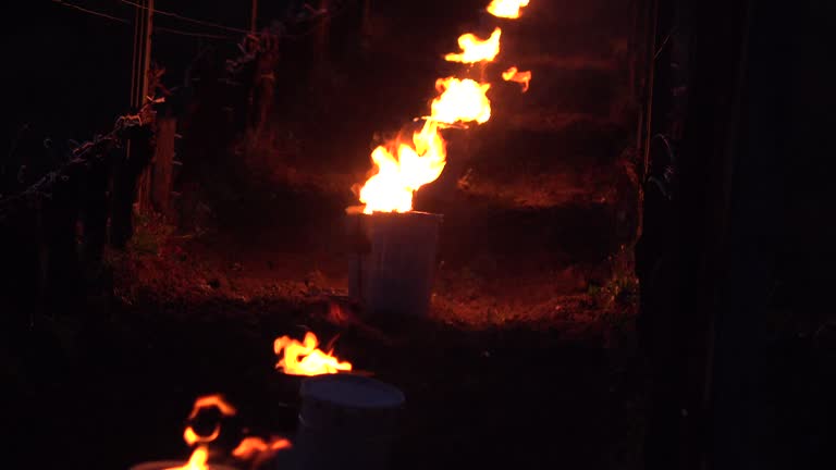 Velas bajo cero