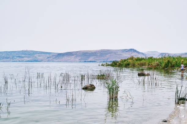 The Sea of Galilee, also called Lake Tiberias, Kinneret or Kinnereth, is a freshwater lake in Israel. It is the lowest freshwater lake on Earth and the second-lowest lake in the world, at levels between 215 metres and 209 metres below sea level.