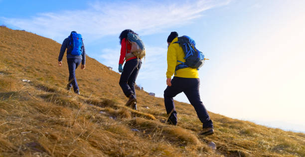 istock Friends walking up mountain trail 1308391864