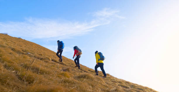 istock Friends walking up mountain trail 1308392769