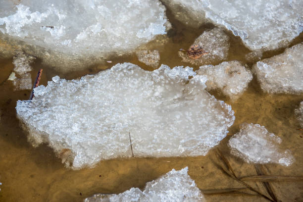 Loose broken ice on the river near the shore on a spring sunny day