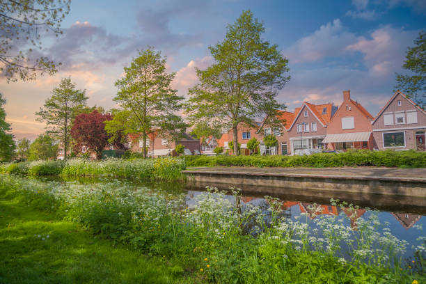 istock Traditional houses in Holland 1308394597