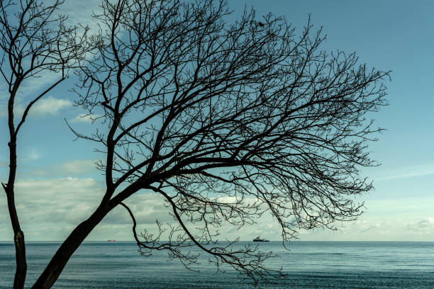 view from the seashore