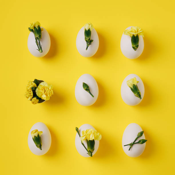 istock White eggs with fresh spring flowers forming geometrical square shape on vibrant yellow background 1308397316