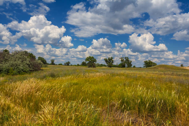 istock green summer prairie landscape 1308397818