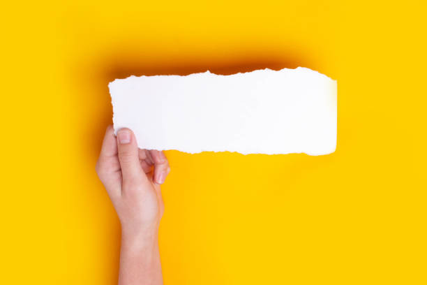 istock Hand holds blank sheet on yellow background 1308397972