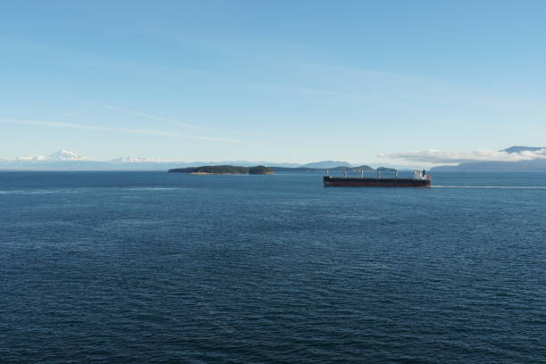 istock View form the container ship on another cargo ship with mountain covered with snow in background during approaching to Vancouver, British Columbia, from Pacific ocean. 1308398190
