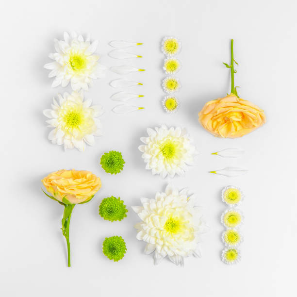 istock Creative layout composition of flowers on pastel background. 1308399577
