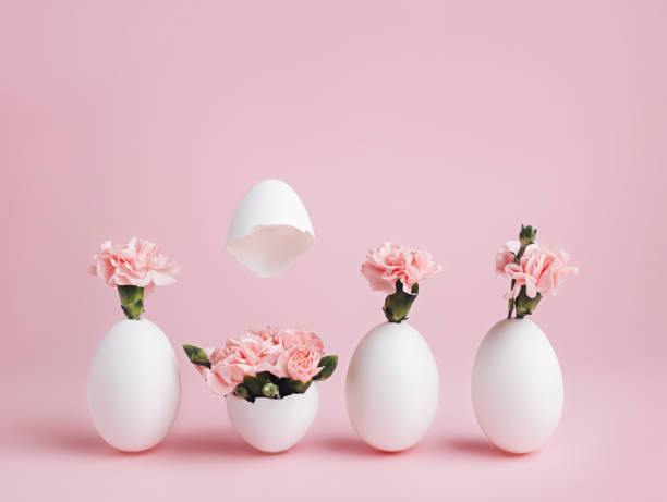 istock Easter spring layout with cracked white eggshells and flowers on pastel pink background 1308404847