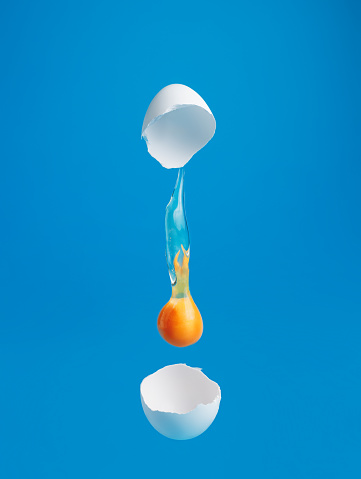Egg Yolk dripping, falling between cracked eggshell on vibrant blue background. Minimal food concept.
