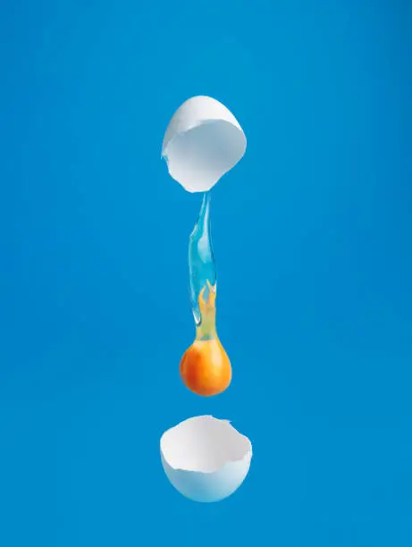 Egg Yolk dripping, falling between cracked eggshell on vibrant blue background. Minimal food concept.