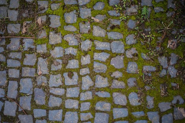 stone pavement texture, old square tiles on the road and sidewalk, ancient gray stone paving stones overgrown with moss, laying slabs on city sidewalks