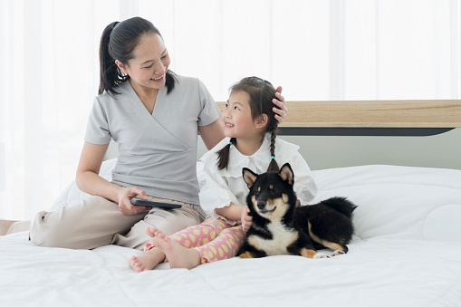 Mom and baby are using a tablet computer in bed with a black Shiba Inu. The Shiba Inu is the national dog of Japan.