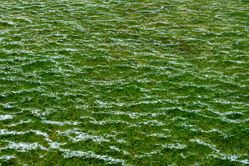 Light snow drifting onto grass , Huntingdon, UK.
