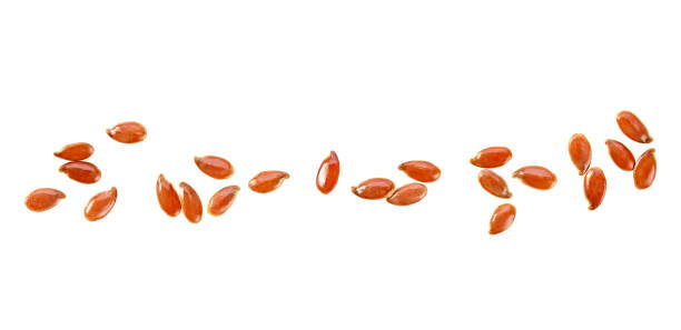istock Flax seeds isolated on a white background, top view. 1308408229