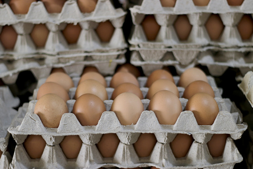 Abundance of fresh chicken eggs in recyclable egg tray/carton.