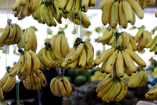 Fresh banana fruit is on display for sale at local market stall.