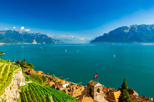 Vineyards and panorama on Lake Geneva stock photo