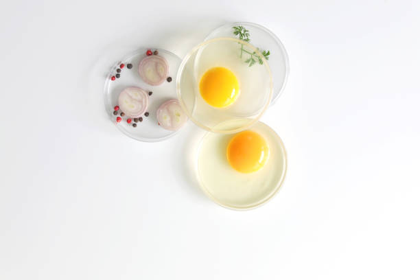 Preparation of omelet. Copy space. Flat lay.