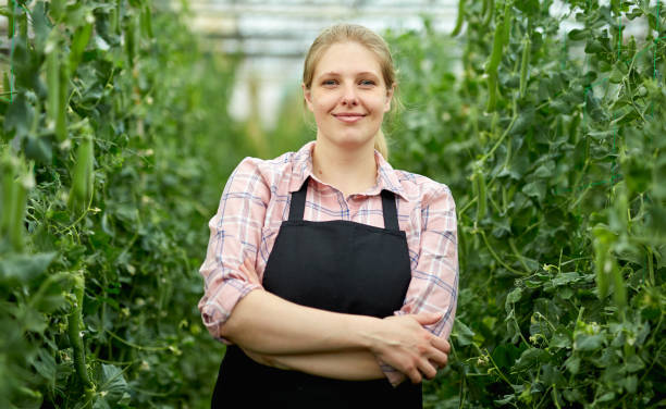 istock Female farmer cultivating green peas 1308411461