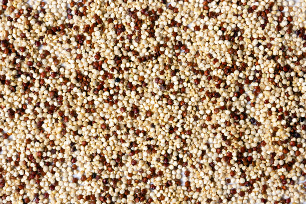 nahaufnahme von roter, weißer und brauner quinoa-mischung. - quinoa stock-fotos und bilder
