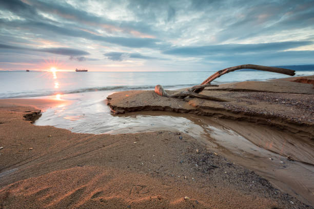 istock Sunrise view with a log at the Black Sea coast 1308412401