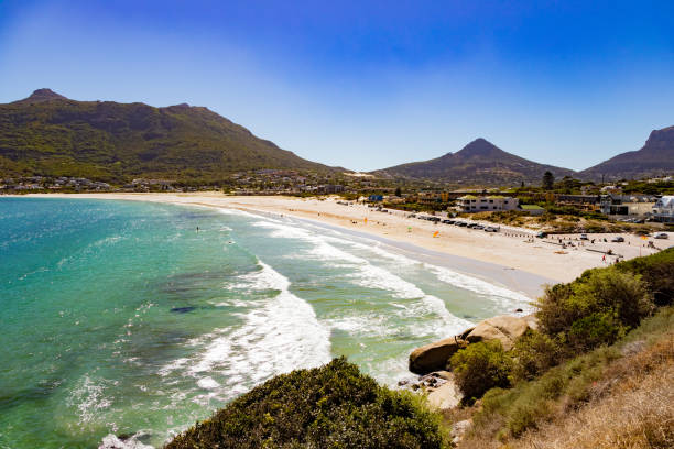 Hout Bay beach and harbour in the background in Cape Town, South Africa
