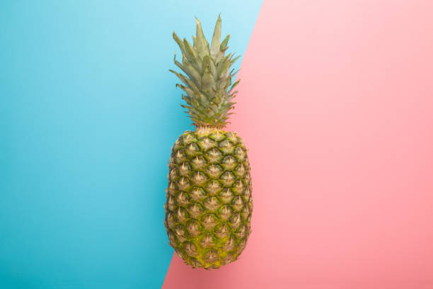 istock Whole pineapple on light pink blue table background. Pastel color. Fresh fruit. Closeup. Two sides. Top down view. 1308415055