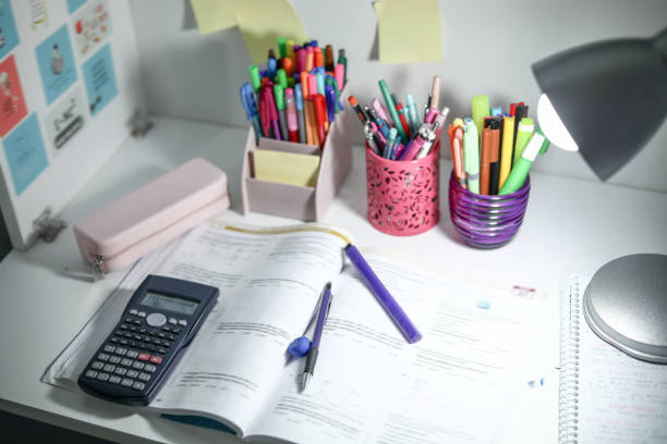 istock Student Studying With Calculator, Color Pencils, Pencil Holder, Student Studying 1308415199