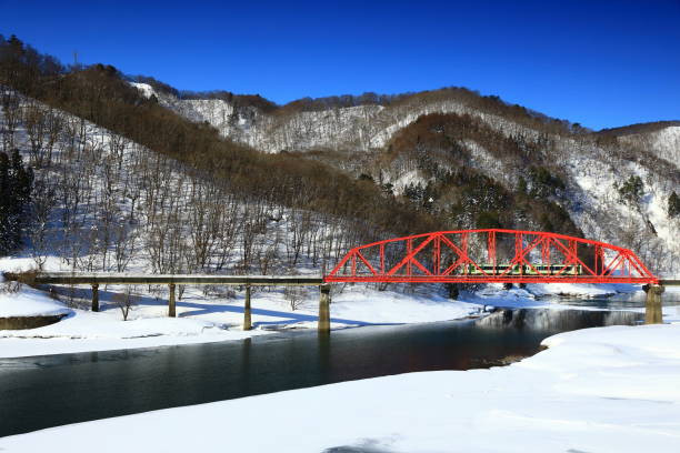 istock Winter landscape in a snowy country 1308416403