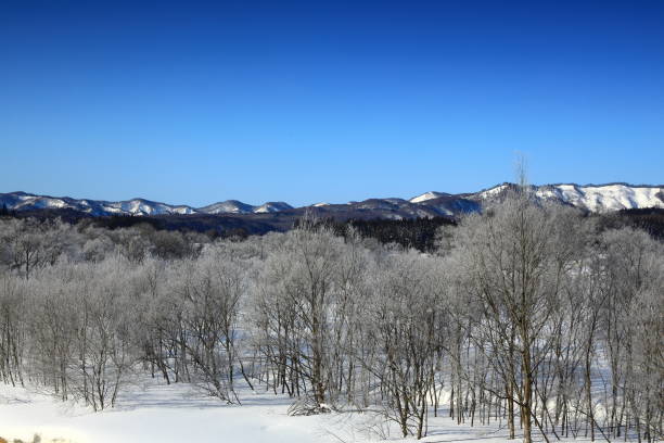 istock Winter landscape in a snowy country 1308416424