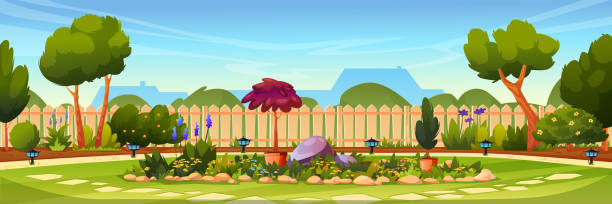 Backyard with flower bed, wooden fence hedge, grass and park plants, green trees and bushes, house on background. Vector flowerbed with stones and blossoms. Garden design architecture, lamps on ground Backyard with flower bed, wooden fence hedge, grass and park plants, green trees and bushes, house on background. Vector flowerbed with stones and blossoms. Garden design architecture, lamps on ground garden stock illustrations
