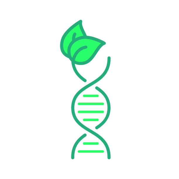 DNA helix with a green leaf icon. Biotechnology science logo. Genetics, medicine, biology, chemistry symbol. Natural, environmental friendly organic agriculture. Vector illustration, flat, clip art. genetics icon stock illustrations