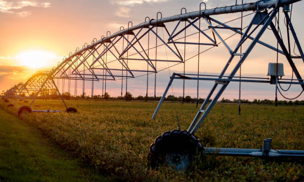 istock Automated irrigation system. Agricultural concept 1308421658