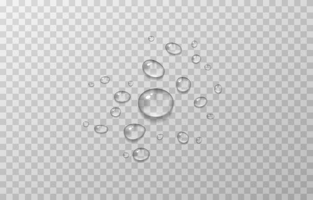 Vector water drops. Drops, condensation on the window, on the surface. Realistic drops on an isolated transparent background. Vector water drops. Drops, condensation on the window, on the surface. Realistic drops on an isolated transparent background. Vector. isolated color stock illustrations