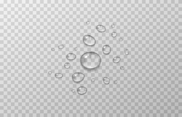 Vector water drops. Drops, condensation on the window, on the surface. Realistic drops on an isolated transparent background. Vector water drops. Drops, condensation on the window, on the surface. Realistic drops on an isolated transparent background. Vector. dew stock illustrations